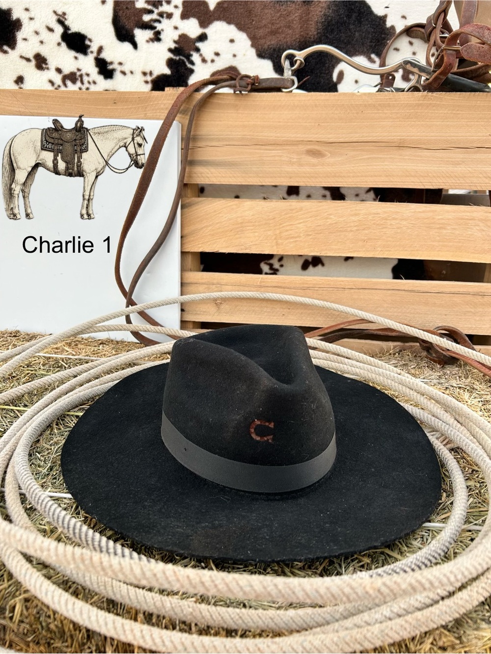 Soft Black Charlie one horse cowgirl hat